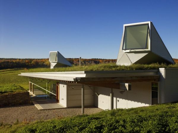 House-in-Caledon-Eco-roof1