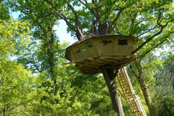 tree-houses-alicourts5