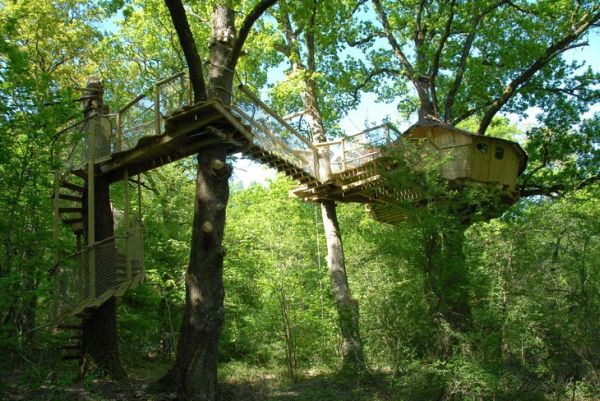 tree-houses-alicourts6