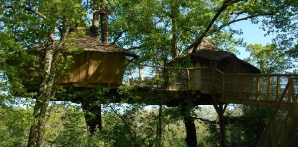 tree-houses-alicourts